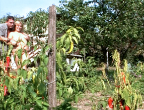 Une grosse blonde plante dans le jardin 4